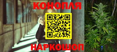 СК Шахты