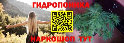 СК Шахты