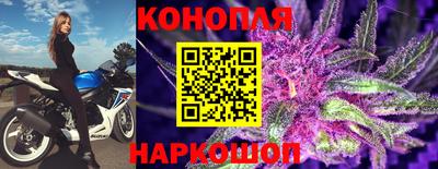 СК Шахты