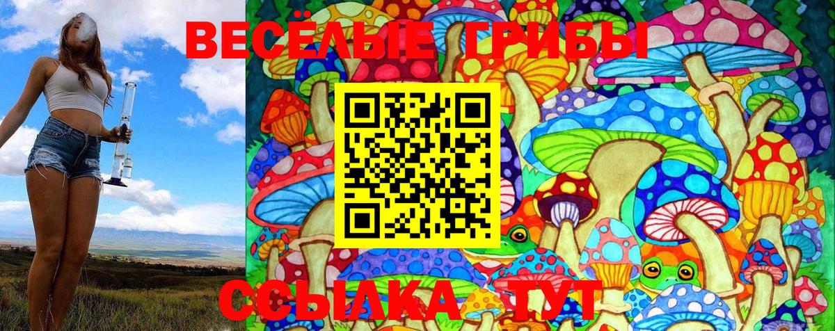 Псилоцибиновые грибы MAGIC MUSHROOMS Азнакаево