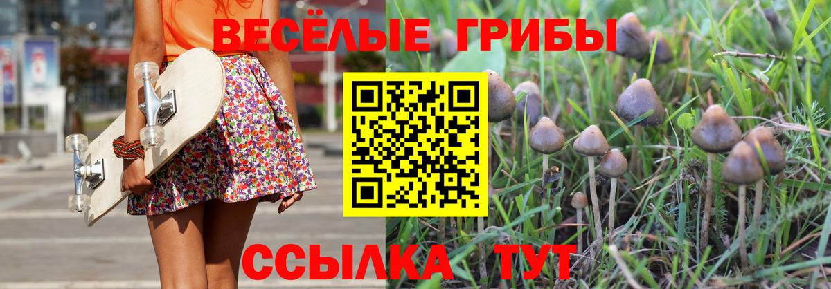 Псилоцибиновые грибы Magic Shrooms  Вход с VPN  Азнакаево 